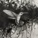  - jalisco, revista cientifica